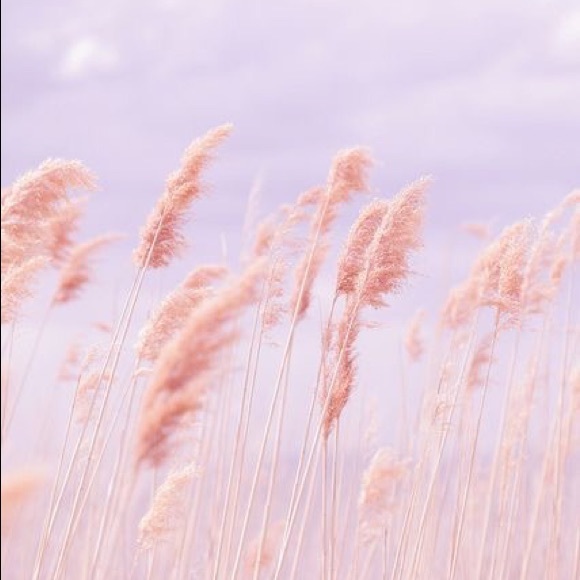 Meet your Posher, Casten - Picture 1 of 1